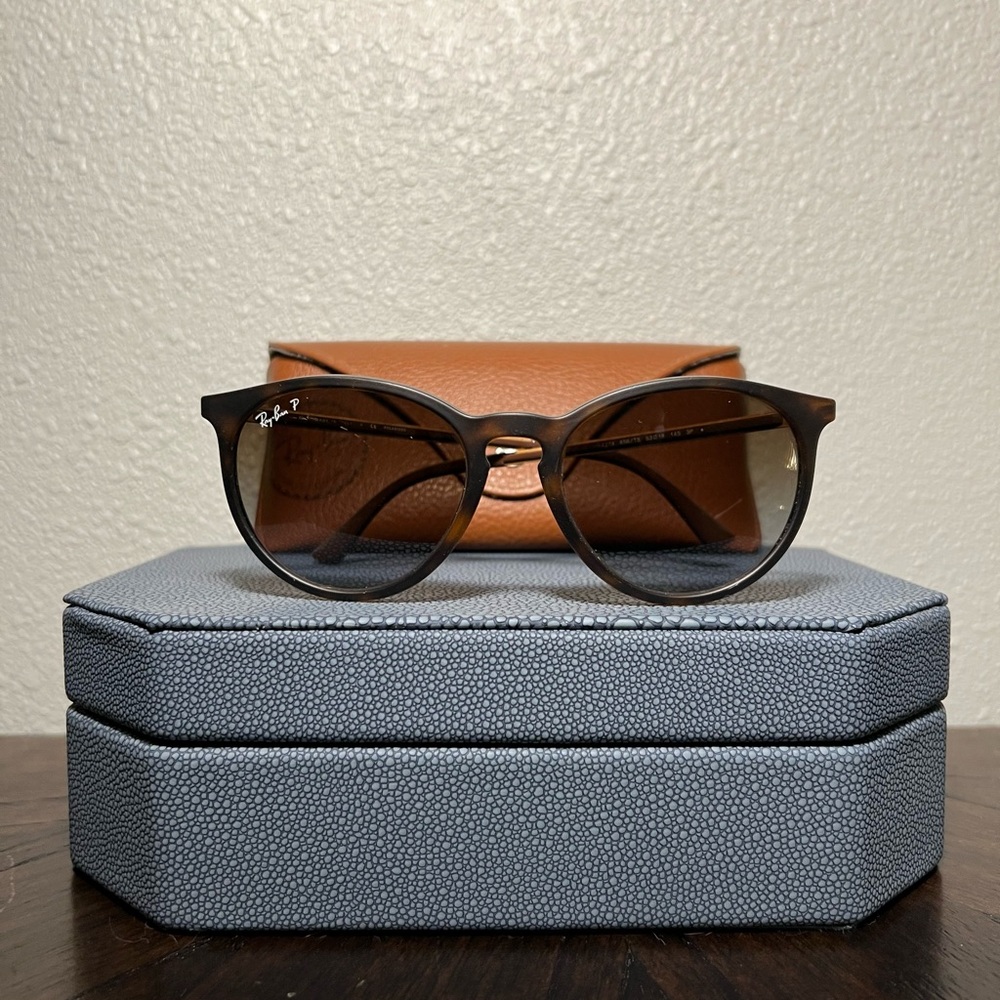 Ray-Ban Erika Polarized Sunglasses